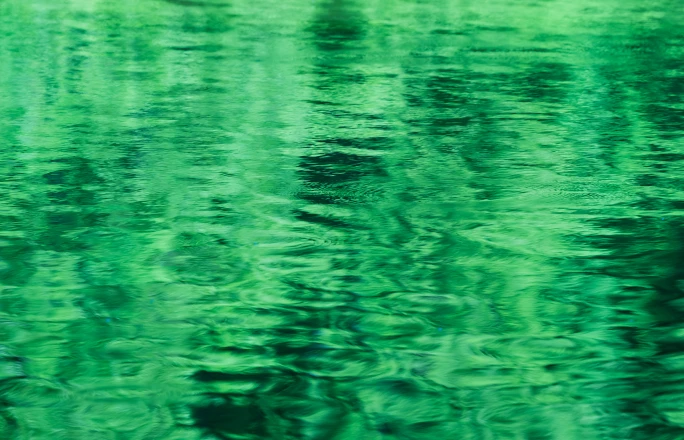 ブログサムネイル